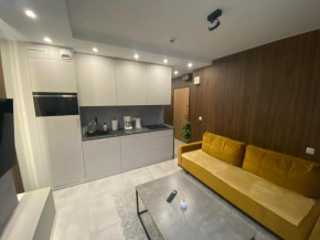 Modern Studio Bliska